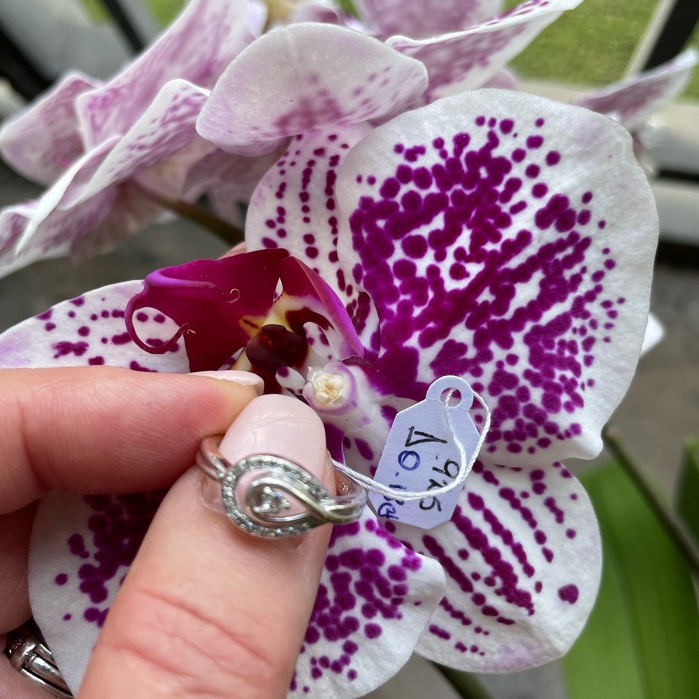 Diamond 0.15ct. Sterling Silver Ring - Picture 8 of 16